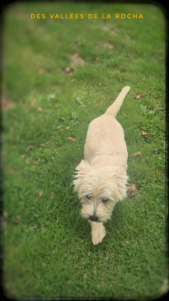 Touch me des vallées de la Rocha